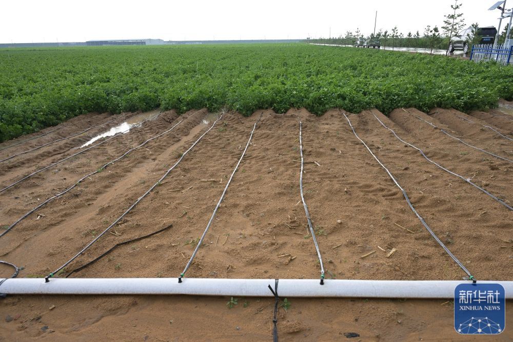 高质量发展调研行｜陕北：持续推进水土生态有效管护