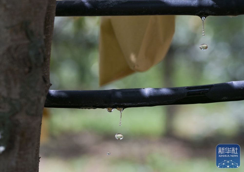 高质量发展调研行｜陕北：持续推进水土生态有效管护