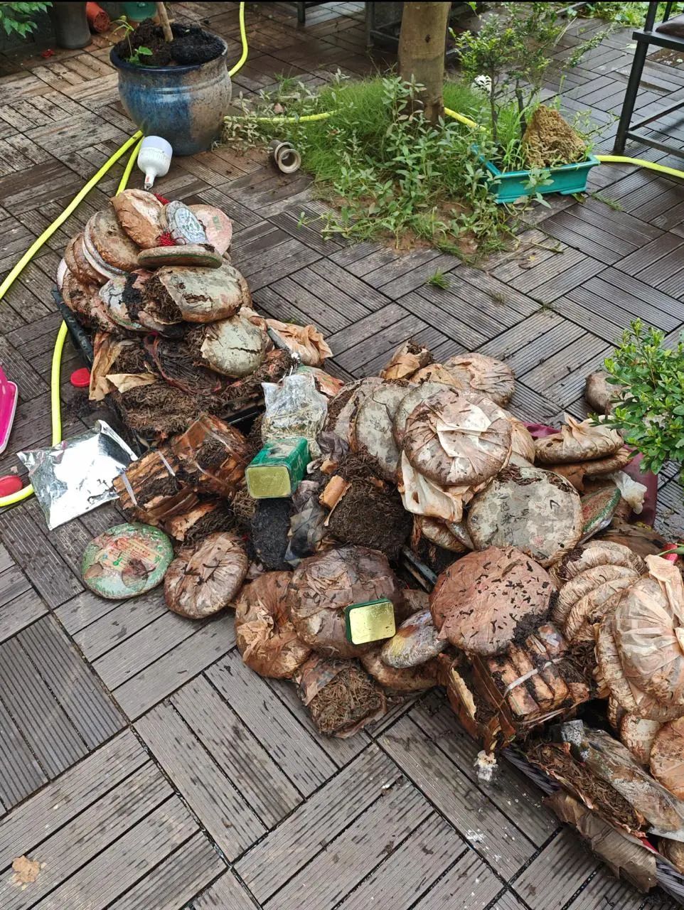 暴雨中听到求救声,长沙三名小伙背出隔壁饭店十几名受困员工! 暴雨中听到求救声,长沙三名小伙背出隔壁饭店十几名受困员工!