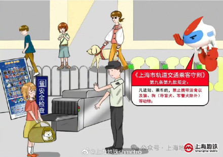 该如何对待导盲犬