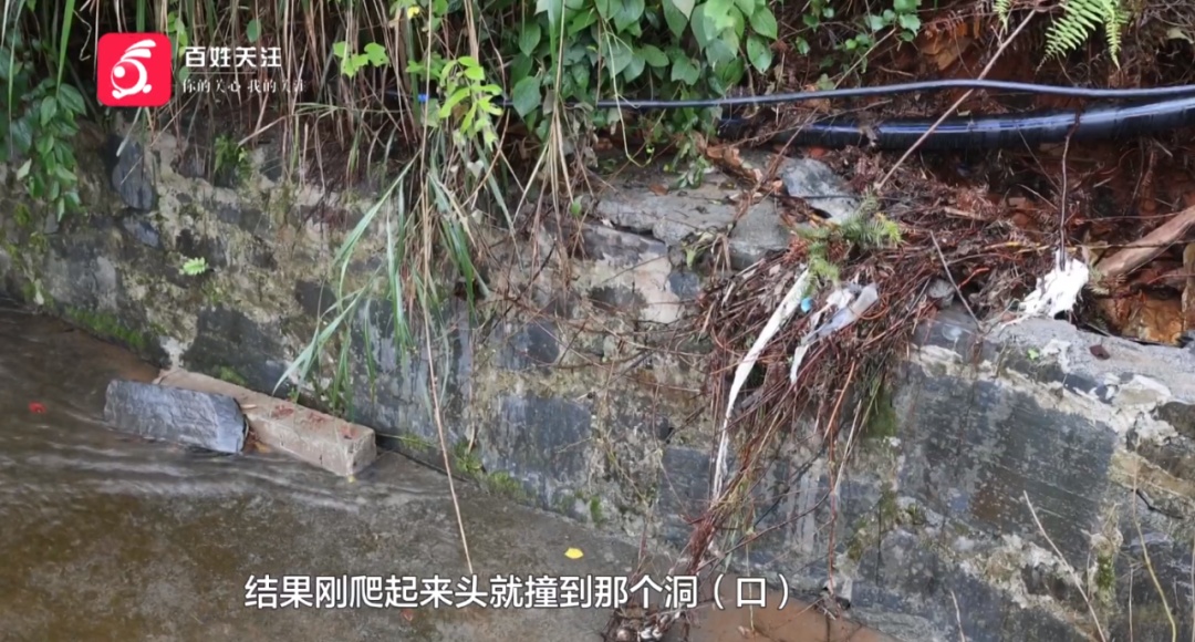 危难之中显身手!对面洪流,他一跃而下救回一条人命 危难之中显身手!对面洪流,他一跃而下救回一条人命