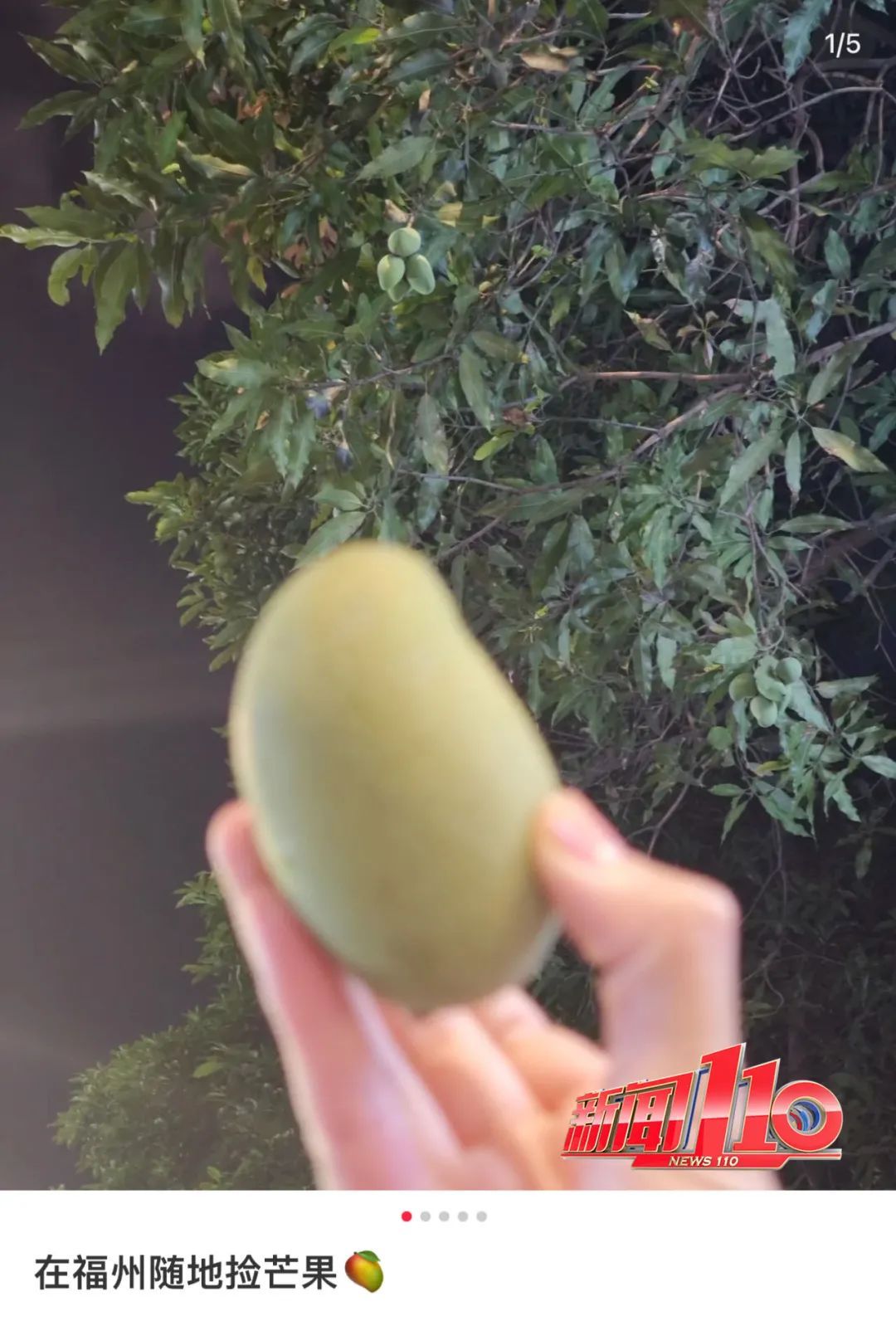注意！福州又又又出现了！千万别吃！