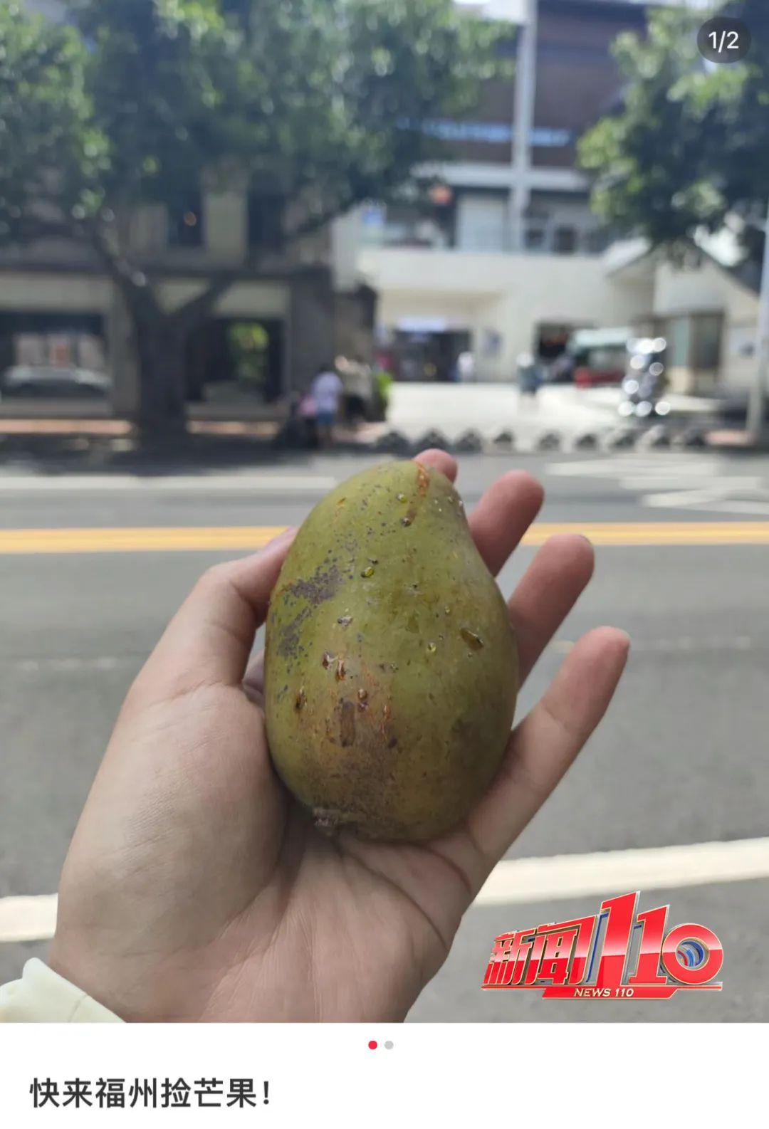 注意！福州又又又出现了！千万别吃！