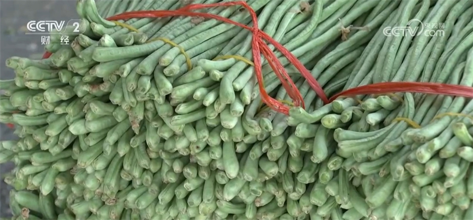 6月份全国蔬菜价格保持季节性下行 多举措保障居民拎稳“菜篮子” 6月份全国蔬菜价格保持季节性下行 多举措保障居民拎稳“菜篮子”