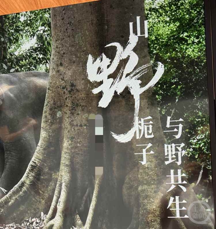 栀子花成今夏奶茶圈新贵 医生建议这几类人需合理饮用 栀子花成今夏奶茶圈新贵 医生建议这几类人需合理饮用