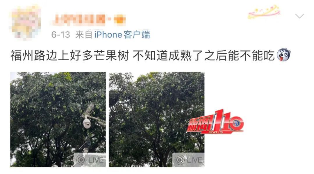 注意！福州又又又出现了！千万别吃！