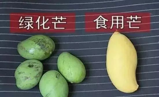 注意！福州又又又出现了！千万别吃！