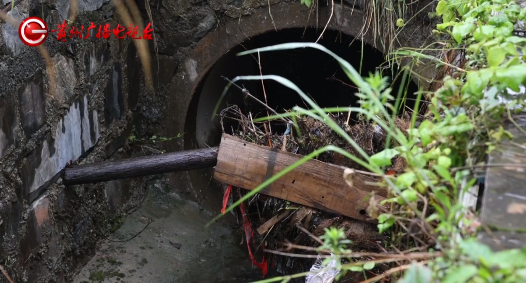 危难之中显身手!对面洪流,他一跃而下救回一条人命 危难之中显身手!对面洪流,他一跃而下救回一条人命