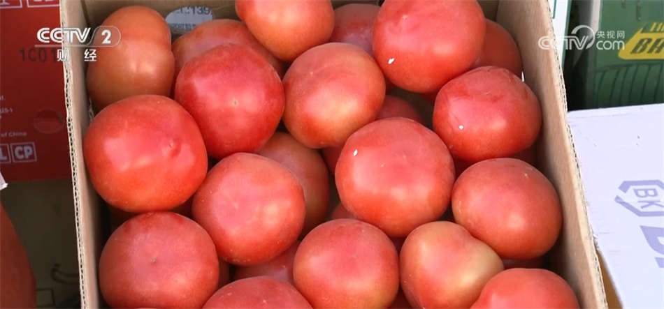 6月份全国蔬菜价格保持季节性下行 多举措保障居民拎稳“菜篮子” 6月份全国蔬菜价格保持季节性下行 多举措保障居民拎稳“菜篮子”