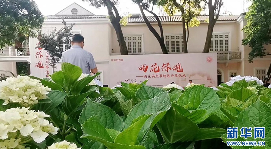 广东籍“雨花侨魂”,回家! 广东籍“雨花侨魂”,回家!