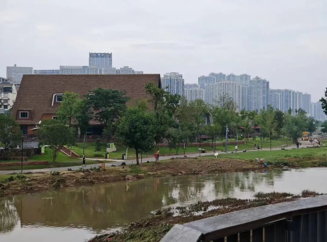 暴雨中听到求救声,长沙三名小伙背出隔壁饭店十几名受困员工! 暴雨中听到求救声,长沙三名小伙背出隔壁饭店十几名受困员工!