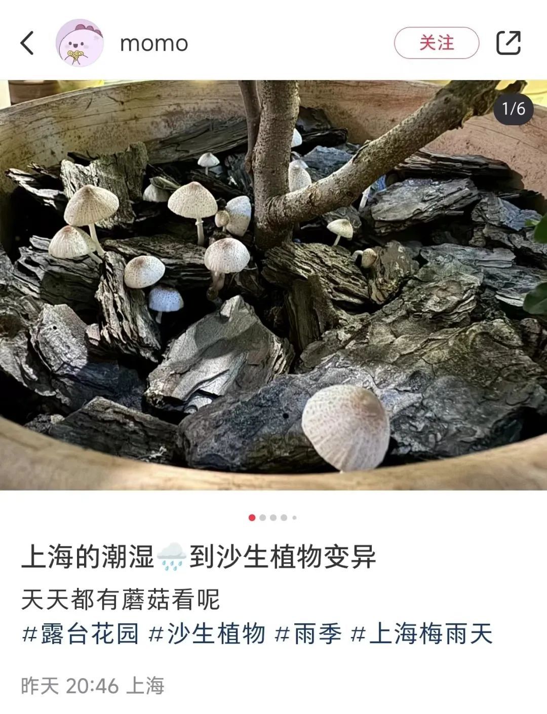 近期暴长!上海网友都在晒!发出灵魂二连问,紧急提醒→ 近期暴长!上海网友都在晒!发出灵魂二连问,紧急提醒→