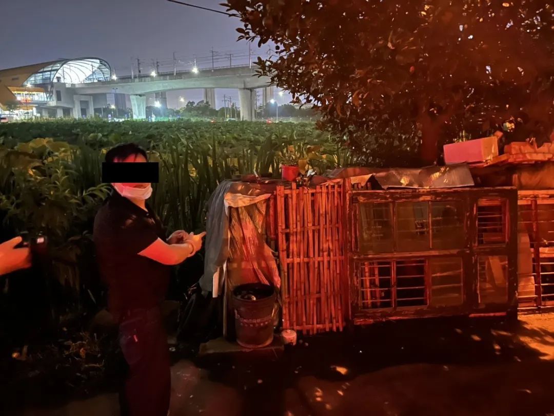 11只老母鸡不见了……海宁警方：破案！