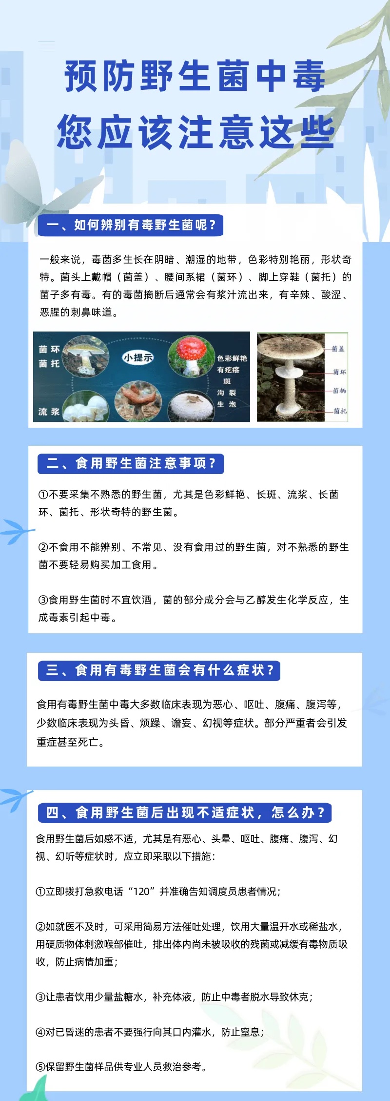 雨后正大量出现,紧急提醒:别碰别吃! 雨后正大量出现,紧急提醒:别碰别吃!