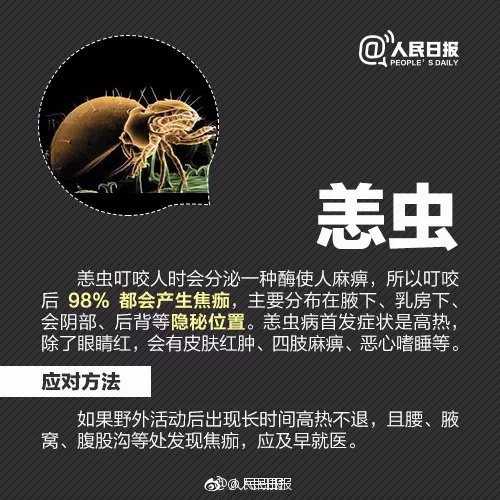 小虫子大麻烦，夏季警惕这些不起眼的“刺客”！