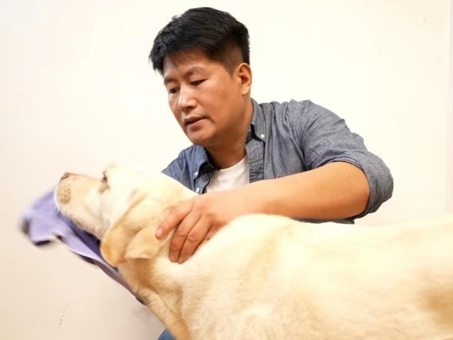 上海地铁这一幕刷屏!网友:看哭了 上海地铁这一幕刷屏!网友:看哭了