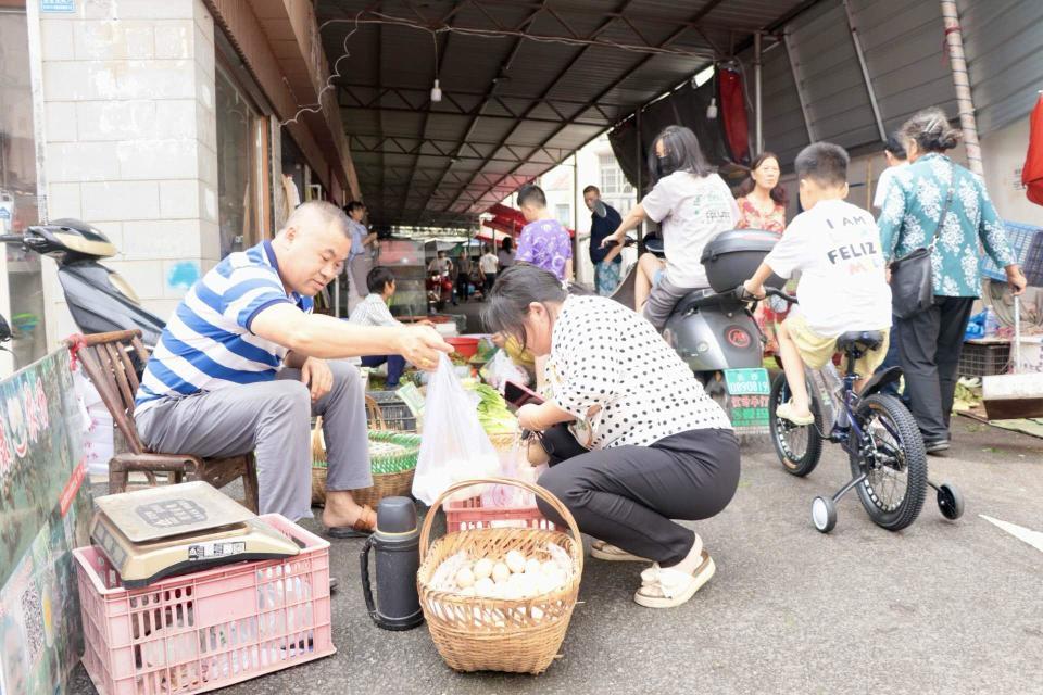 浏阳河畔防汛纪实：雨过天晴，再现美好生活