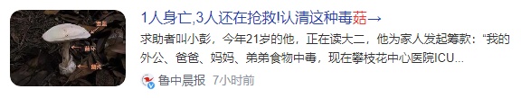 雨后正大量出现,紧急提醒:别碰别吃! 雨后正大量出现,紧急提醒:别碰别吃!