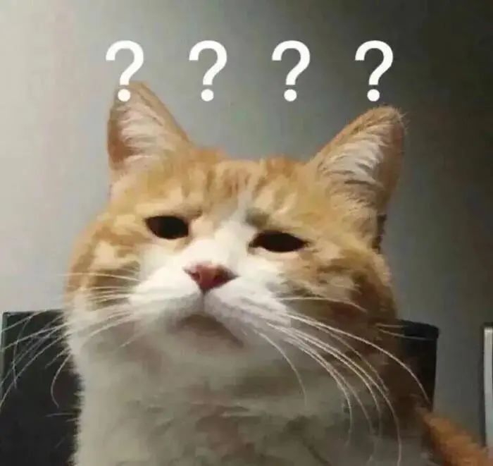 闯大祸!监护人要担责 闯大祸!监护人要担责