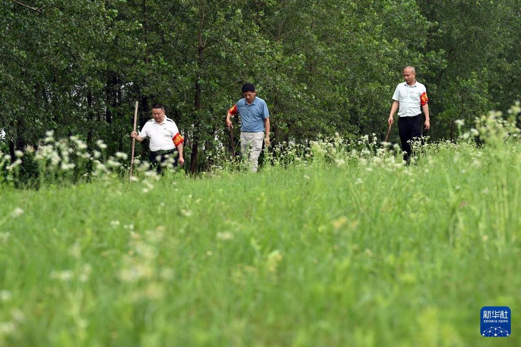 直击安徽省同马大堤防汛一线 直击安徽省同马大堤防汛一线