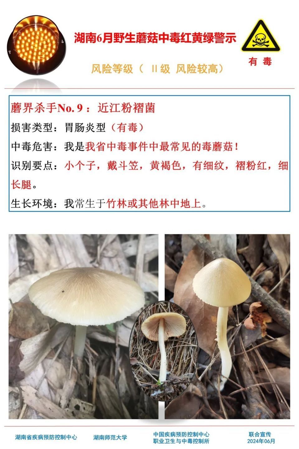 女子吃野生菌中毒致幻抓小人！湖南疾控提醒，这些野生菌有剧毒