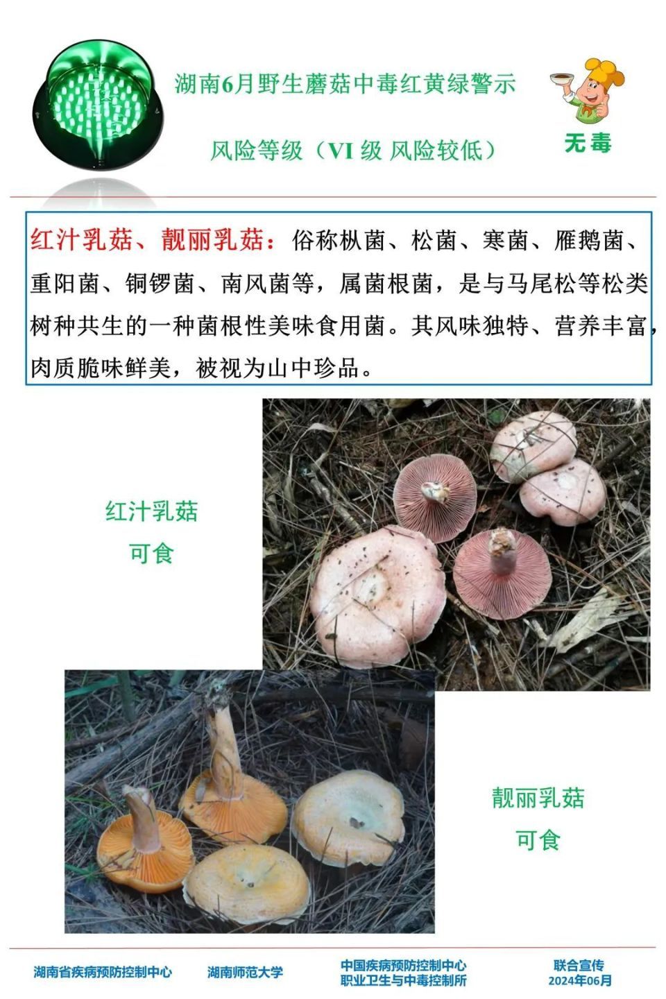 女子吃野生菌中毒致幻抓小人！湖南疾控提醒，这些野生菌有剧毒
