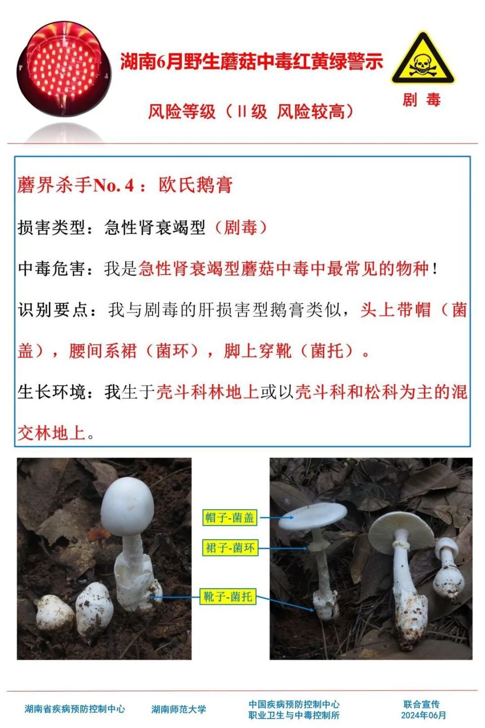 女子吃野生菌中毒致幻抓小人！湖南疾控提醒，这些野生菌有剧毒
