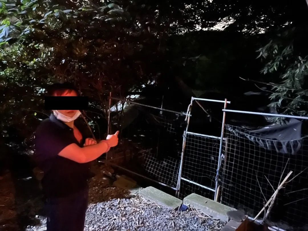 11只老母鸡不见了……海宁警方：破案！