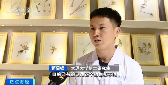 这里发现5个新物种! 这里发现5个新物种!