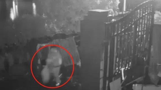 11只老母鸡不见了……海宁警方：破案！