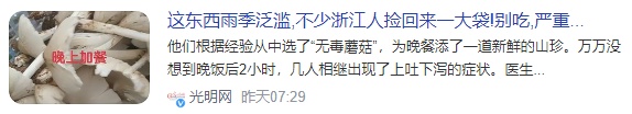 雨后正大量出现,紧急提醒:别碰别吃! 雨后正大量出现,紧急提醒:别碰别吃!