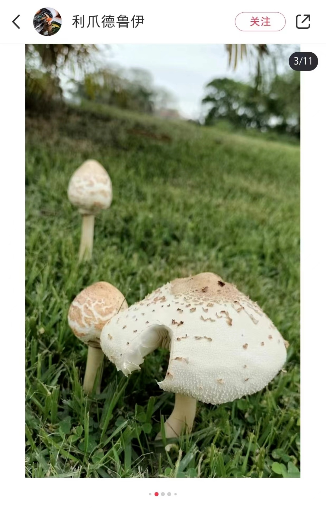 上海将在这天出梅！近期随处可见，网友都在晒，有人馋了，专家急了→
