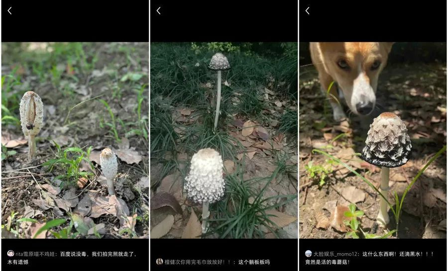 上海将在这天出梅！近期随处可见，网友都在晒，有人馋了，专家急了→