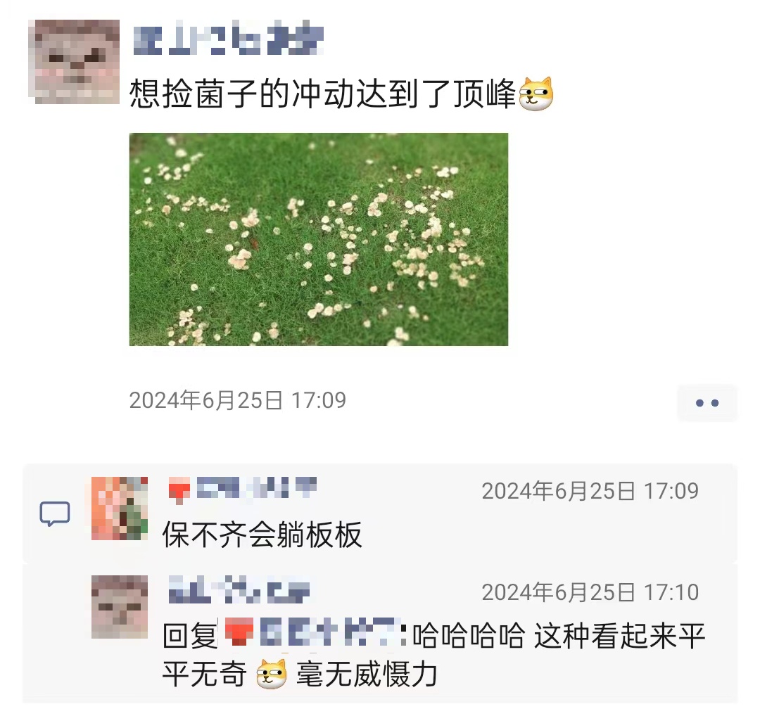 雨后正大量出现,紧急提醒:别碰别吃! 雨后正大量出现,紧急提醒:别碰别吃!