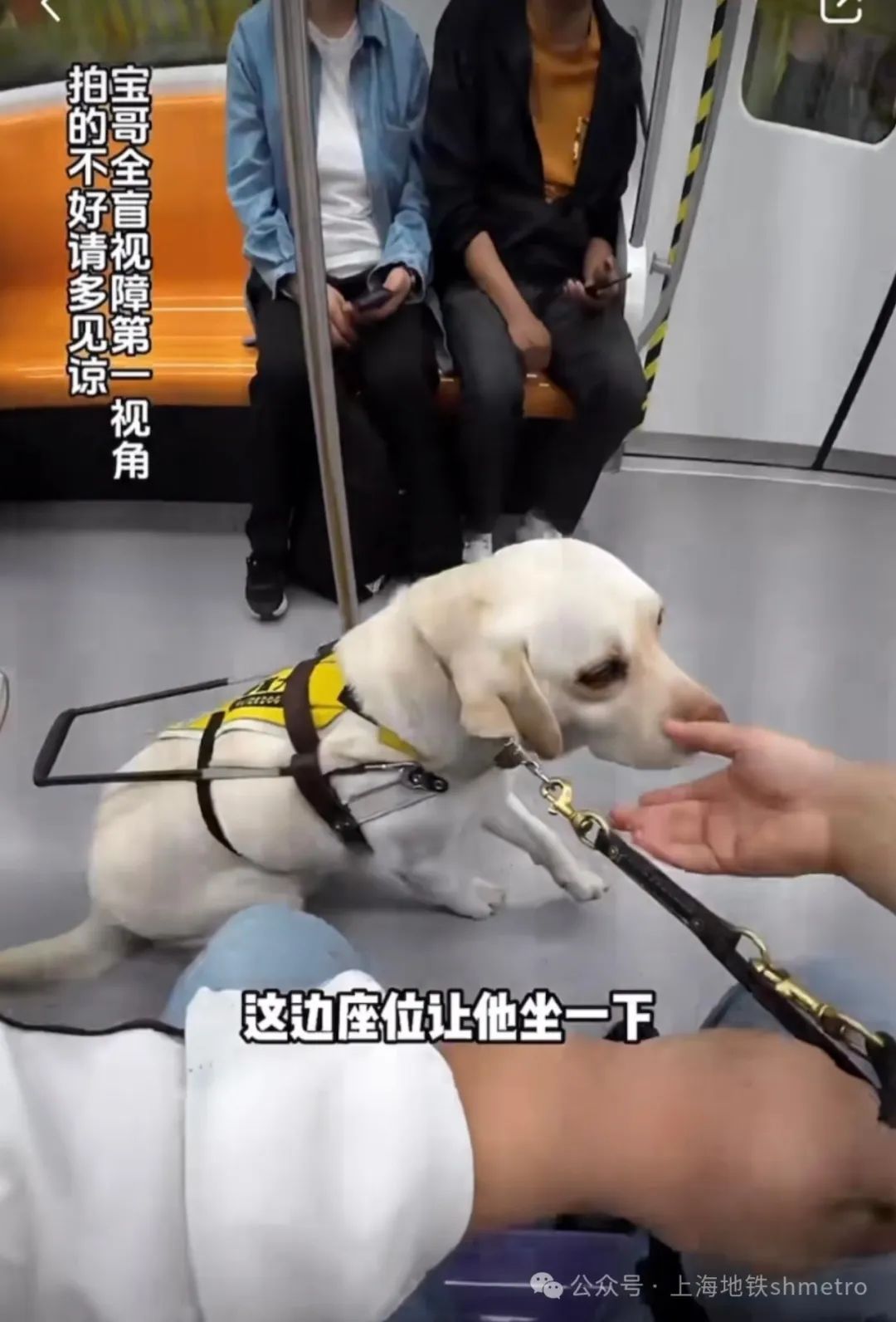 上海地铁这一幕刷屏!网友:看哭了 上海地铁这一幕刷屏!网友:看哭了