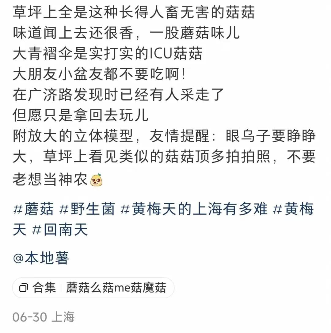 近期随处可见！上海网友都在晒，有人馋了，专家紧急提醒→