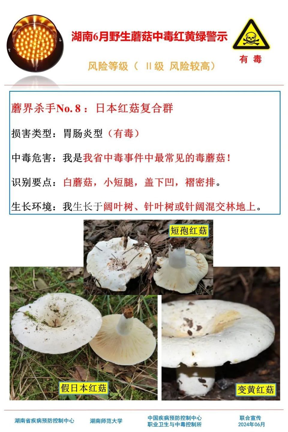 女子吃野生菌中毒致幻抓小人！湖南疾控提醒，这些野生菌有剧毒