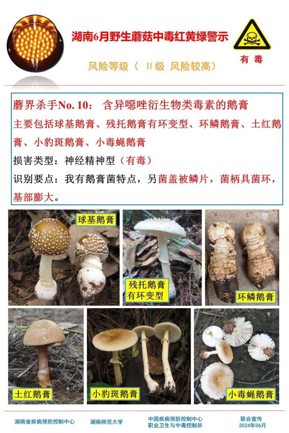 女子吃野生菌中毒致幻抓小人！湖南疾控提醒，这些野生菌有剧毒