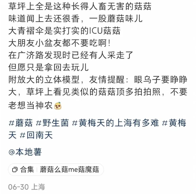 上海将在这天出梅！近期随处可见，网友都在晒，有人馋了，专家急了→