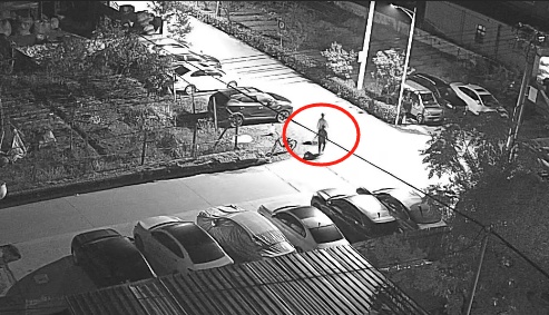 11只老母鸡不见了……海宁警方：破案！