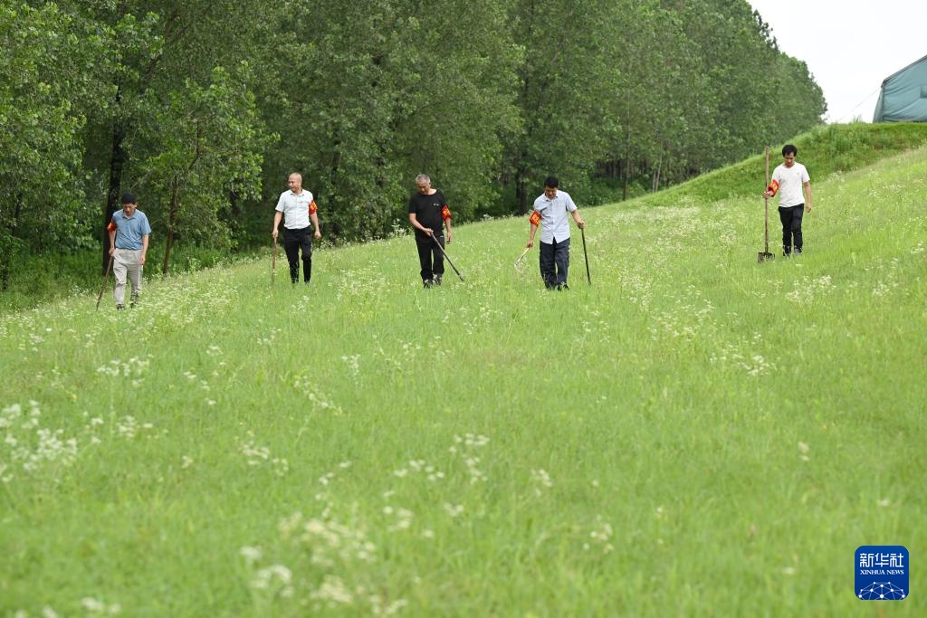 直击安徽省同马大堤防汛一线 直击安徽省同马大堤防汛一线