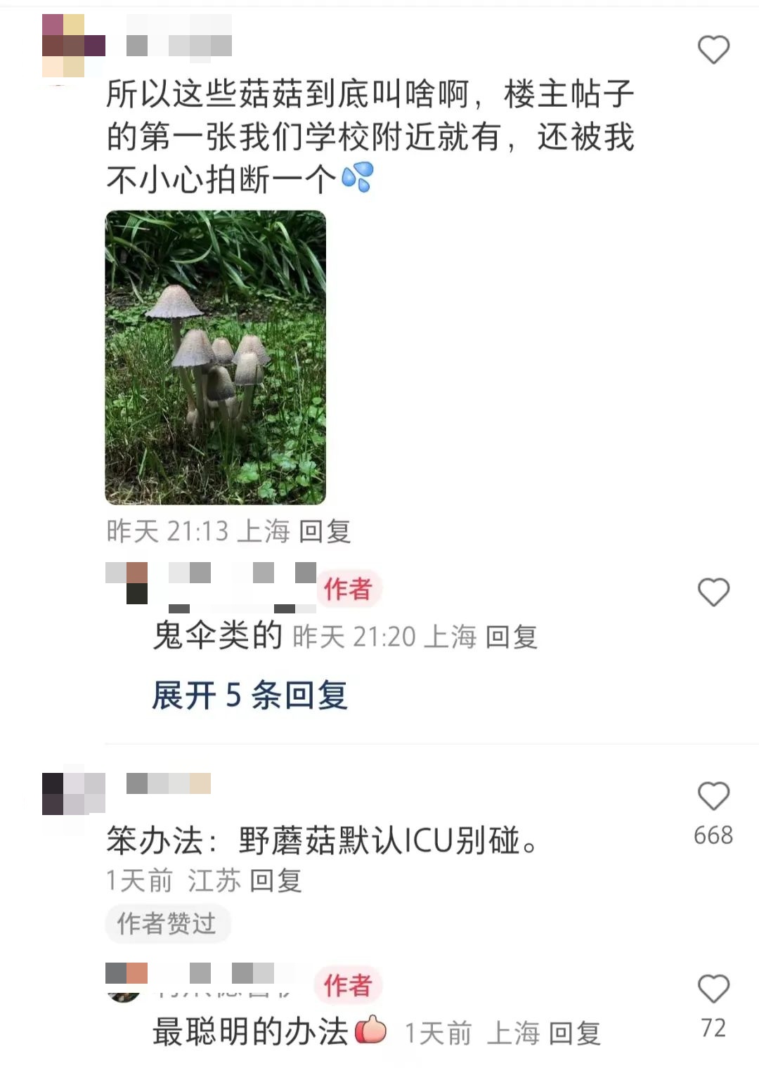 近期随处可见！上海网友都在晒，有人馋了，专家紧急提醒→