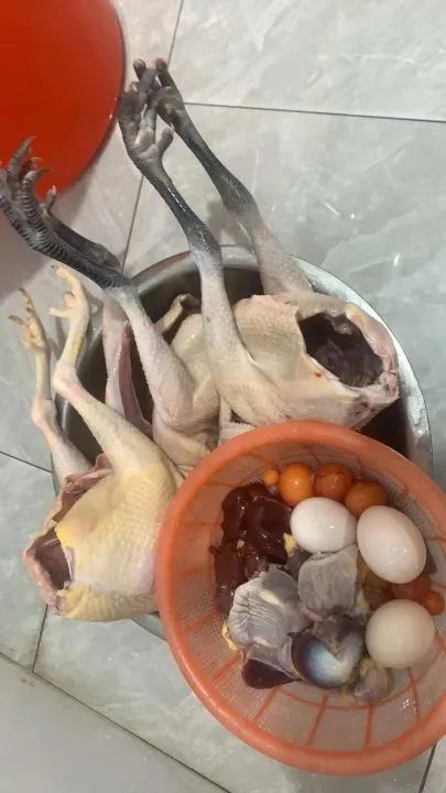 11只老母鸡不见了……海宁警方：破案！