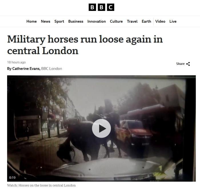 英国皇家骑兵队马匹受惊失控 在伦敦街头狂奔