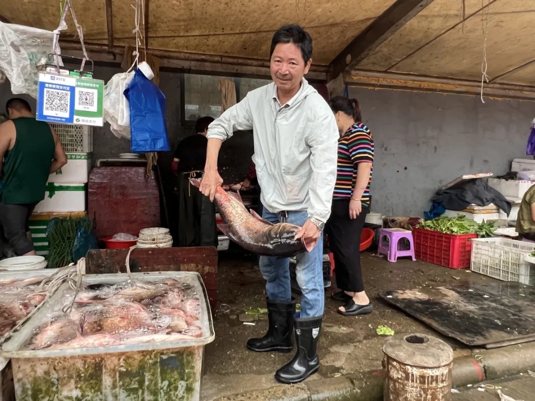 3元一斤！不少人凌晨出动！浙江人终于等到了……