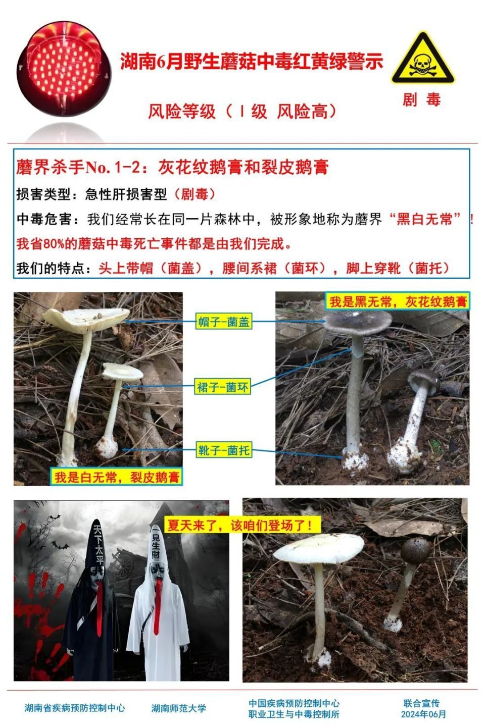 女子吃野生菌中毒致幻抓小人！湖南疾控提醒，这些野生菌有剧毒