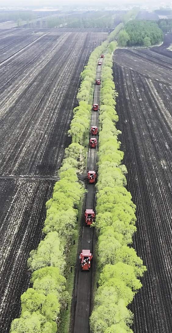 走南闯北22年,这个村有支400多人的麦收“大军” 走南闯北22年,这个村有支400多人的麦收“大军”