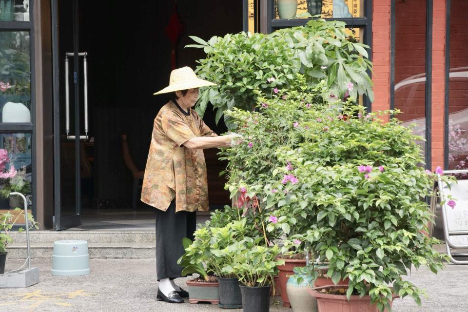 浏阳河畔防汛纪实：雨过天晴，再现美好生活