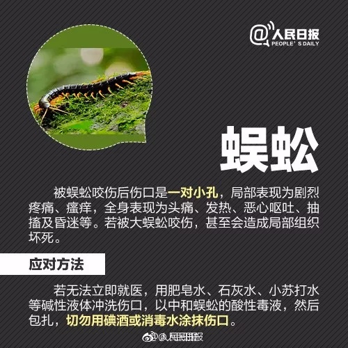 小虫子大麻烦，夏季警惕这些不起眼的“刺客”！