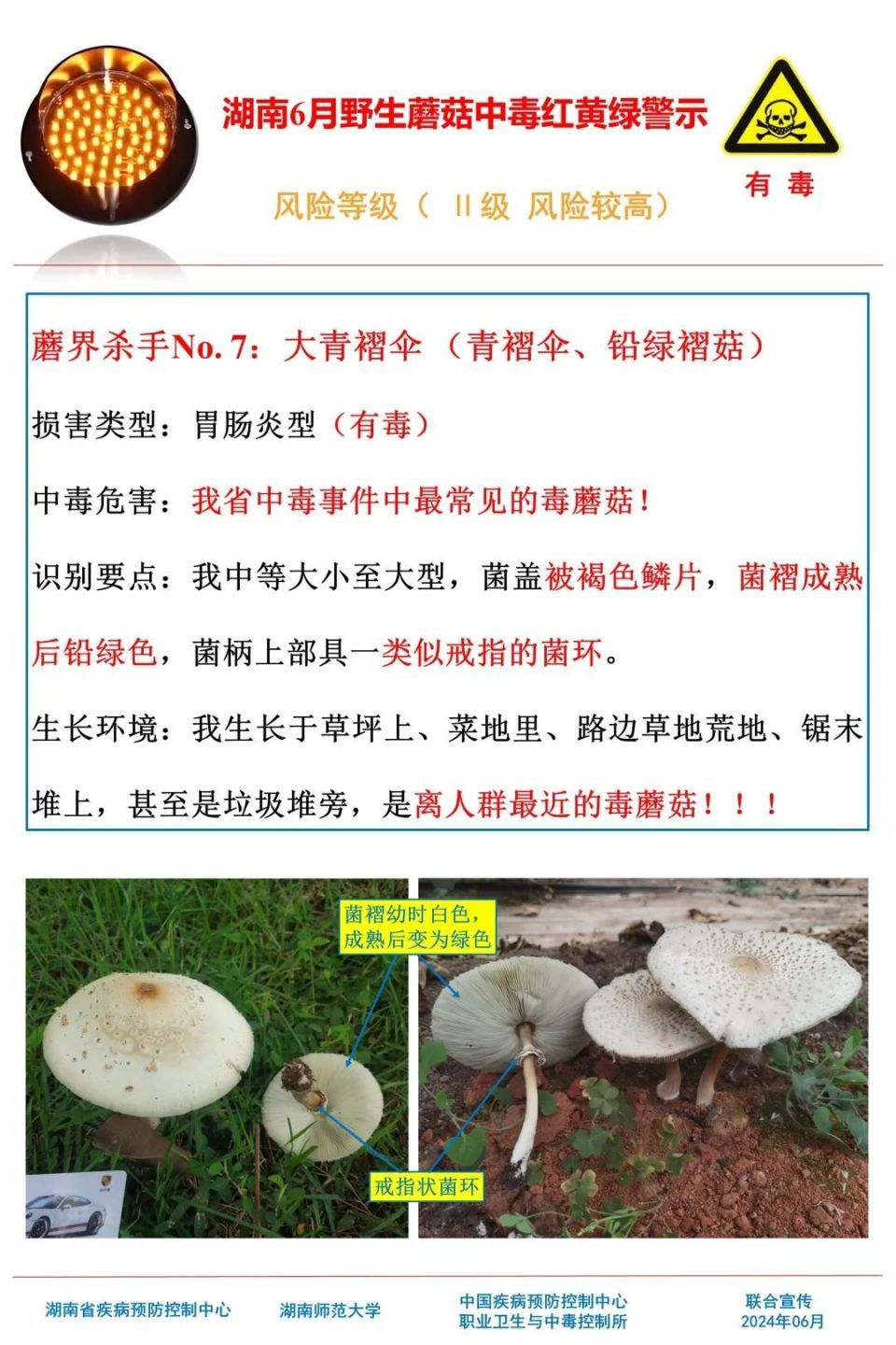 女子吃野生菌中毒致幻抓小人！湖南疾控提醒，这些野生菌有剧毒
